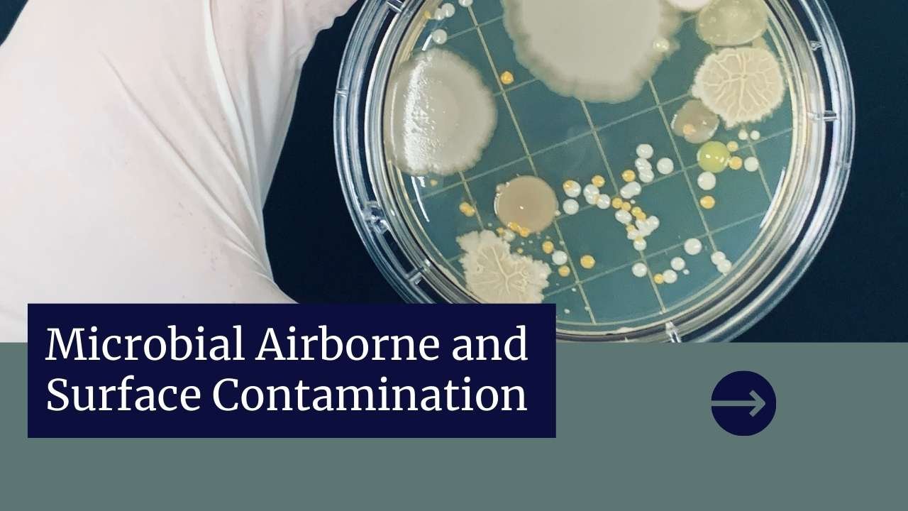 Microbiological Contaminants Are Best Described As GMP Cleanroom Classifications: Understand Class A, B, C And D