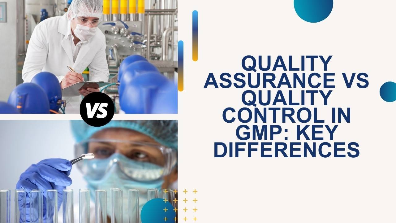 Quality Assurance vs Quality Control in GMP