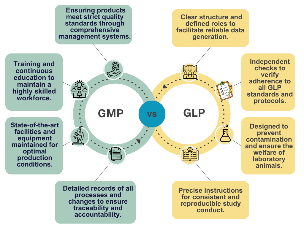 Key Principles of GMP vs GLP