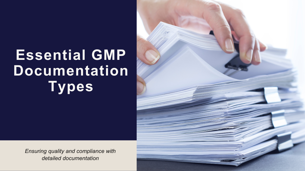 Types of Documentation Used In GMP Environment FI