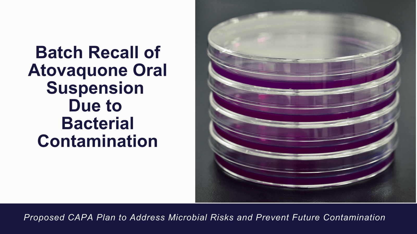 batch recall of atovaquone oral suspension due to bacterial contamination