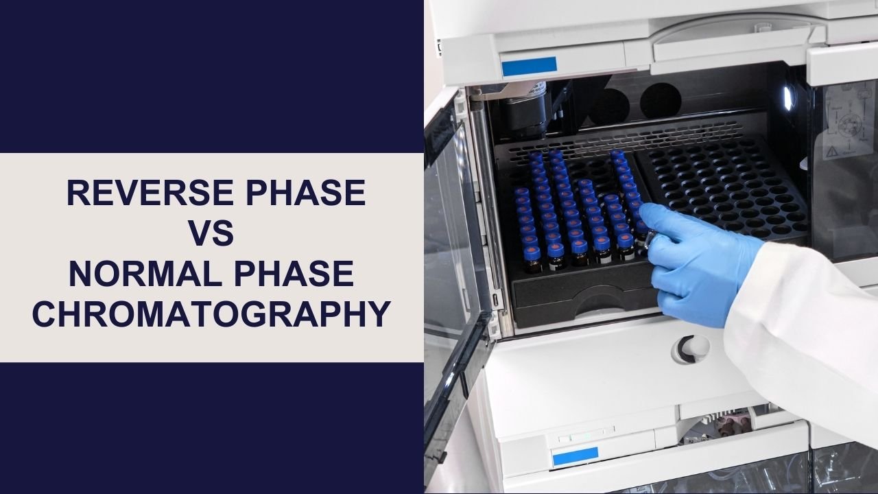 RP vs NP Chromatography: Key Differences Explained