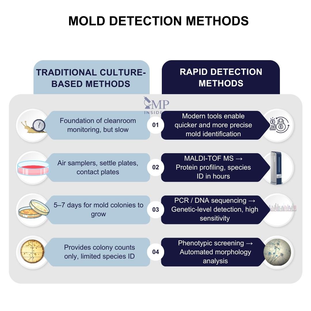 Mold detection methods infographic comparing traditional culture-based and rapid molecular approaches.