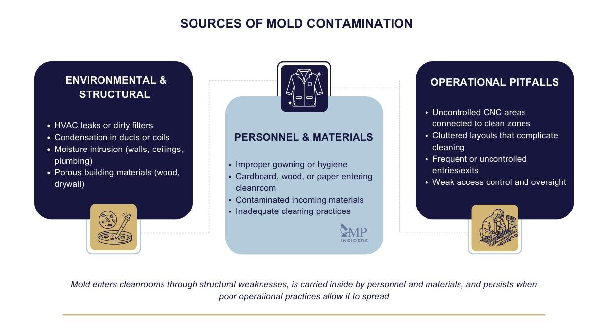 Sources of mold contamination in cleanrooms infographic showing environmental, personnel, and operational factors.