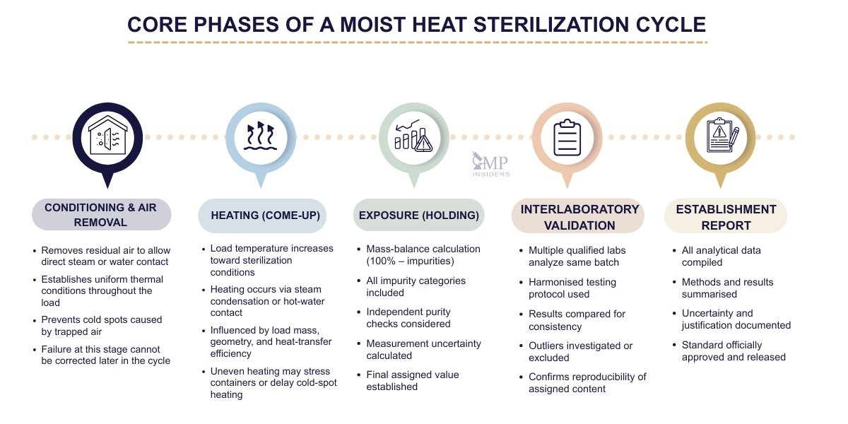 Core phases of a moist heat sterilization cycle including air removal, heating, exposure, validation, and reporting.